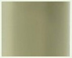 250-Nude Pintado - 11983  250-Nude Pintado